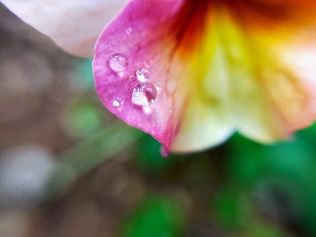 f:id:bluemoonbell:20230404102657j:image f:id:bluemoonbell:20230404102657j:image