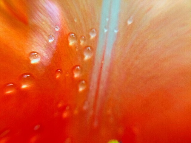 f:id:bluemoonbell:20230404102714j:image f:id:bluemoonbell:20230404102714j:image