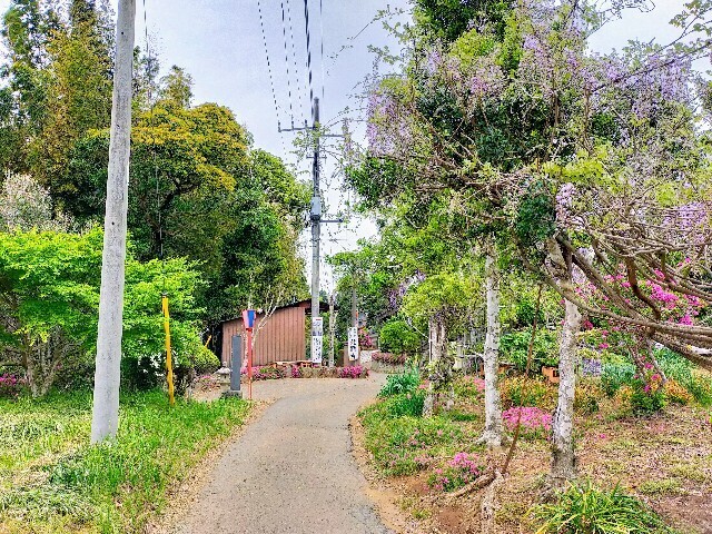 f:id:bluemoonbell:20230423143723j:image