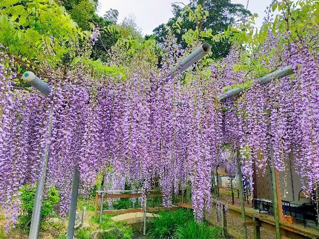 f:id:bluemoonbell:20230423143735j:image
