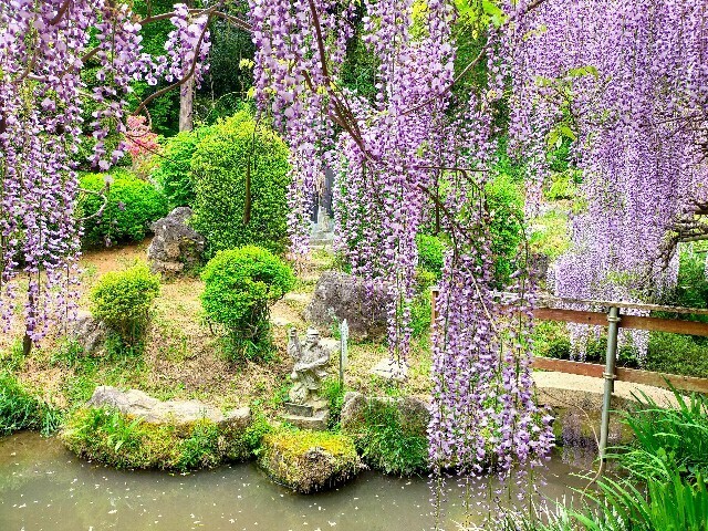 f:id:bluemoonbell:20230423143805j:image