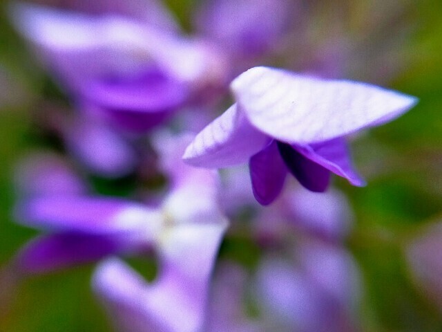 f:id:bluemoonbell:20230423144203j:image