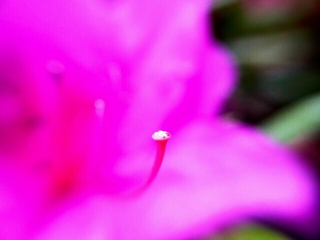f:id:bluemoonbell:20230423144226j:image