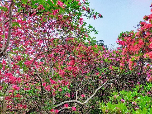 f:id:bluemoonbell:20230423144246j:image