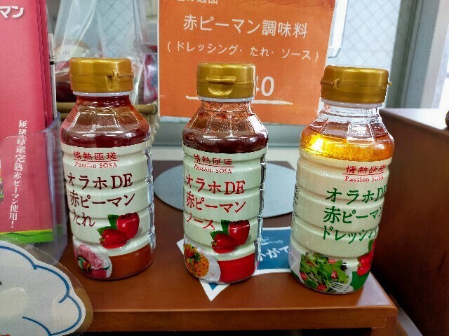 f:id:bluemoonbell:20230423210950j:image