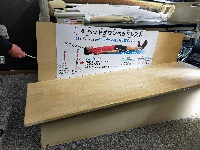 f:id:bluemoonbell:20230429163826j:image