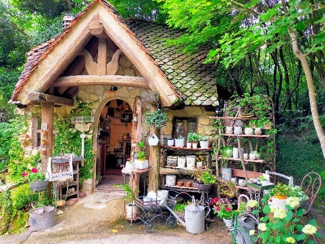 f:id:bluemoonbell:20230708145754j:image