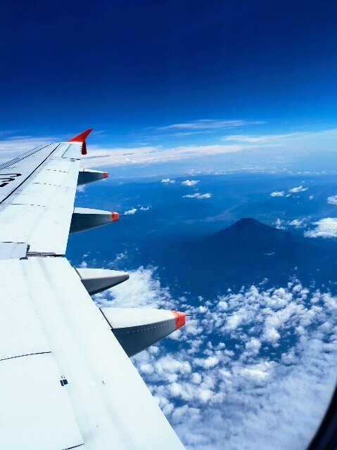 f:id:bluemoonbell:20230717091742j:image f:id:bluemoonbell:20230717091742j:image