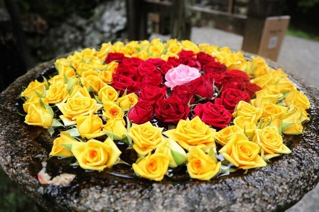f:id:bluemoonbell:20230719110324j:image