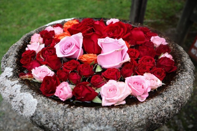 f:id:bluemoonbell:20230719110331j:image
