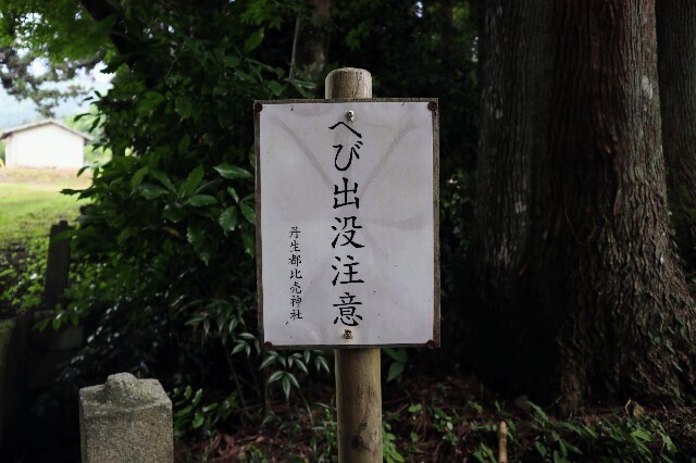 f:id:bluemoonbell:20230719110603j:image