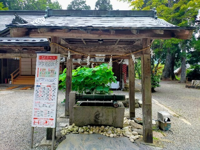 f:id:bluemoonbell:20230719111511j:image