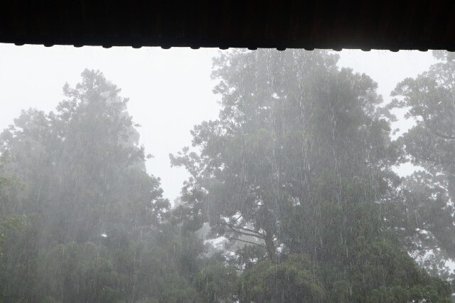 f:id:bluemoonbell:20230720132439j:image