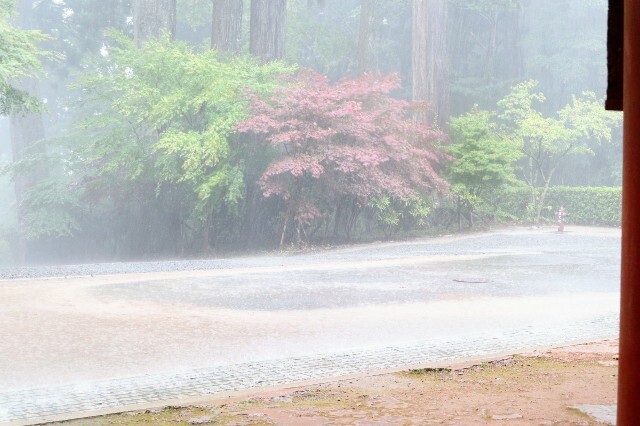 f:id:bluemoonbell:20230720132446j:image