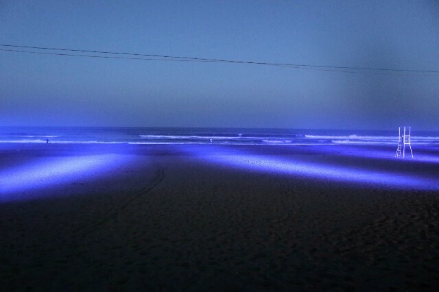 f:id:bluemoonbell:20230807203830j:image