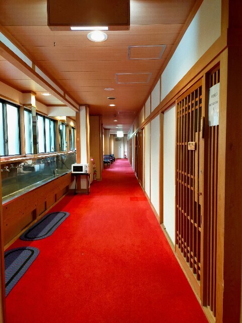 f:id:bluemoonbell:20230823203139j:image