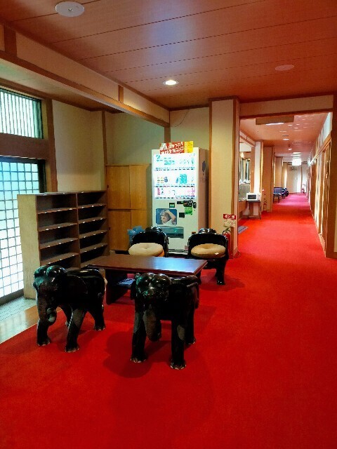 f:id:bluemoonbell:20230823203153j:image