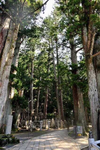 f:id:bluemoonbell:20230830184911j:image f:id:bluemoonbell:20230830184911j:image