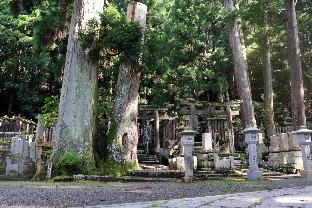 f:id:bluemoonbell:20230830201723j:image f:id:bluemoonbell:20230830201723j:image