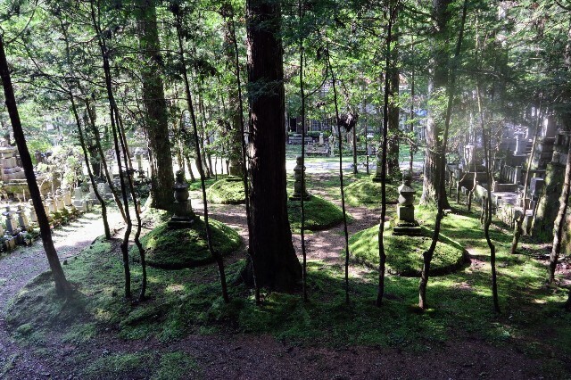 f:id:bluemoonbell:20230830201738j:image f:id:bluemoonbell:20230830201738j:image