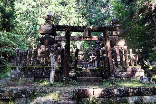 f:id:bluemoonbell:20230830201745j:image f:id:bluemoonbell:20230830201745j:image