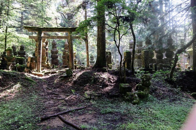 f:id:bluemoonbell:20230830202116j:image f:id:bluemoonbell:20230830202116j:image