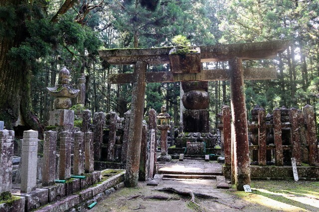 f:id:bluemoonbell:20230830202136j:image f:id:bluemoonbell:20230830202136j:image