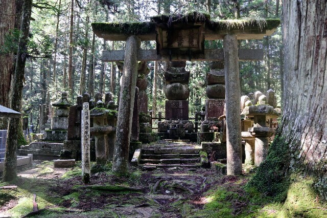 f:id:bluemoonbell:20230830202144j:image f:id:bluemoonbell:20230830202144j:image