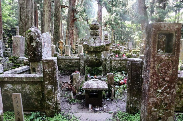 f:id:bluemoonbell:20230830202204j:image f:id:bluemoonbell:20230830202204j:image