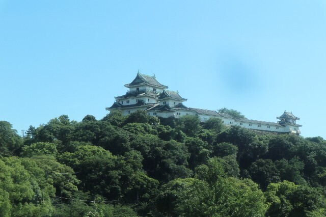 f:id:bluemoonbell:20230916172623j:image