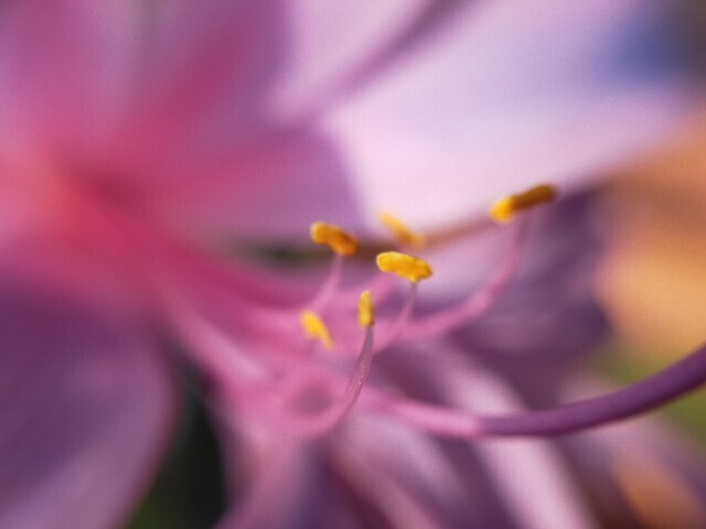 f:id:bluemoonbell:20230917180143j:image