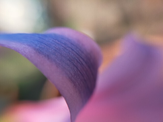 f:id:bluemoonbell:20230917180154j:image