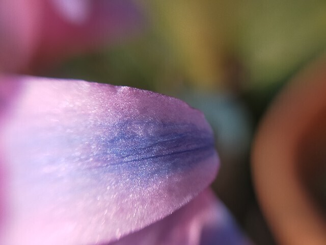 f:id:bluemoonbell:20230917180201j:image