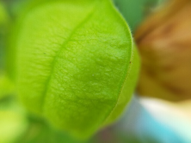 f:id:bluemoonbell:20230917180217j:image