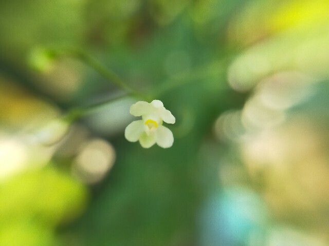 f:id:bluemoonbell:20230917180225j:image