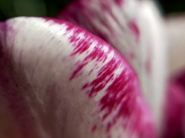 f:id:bluemoonbell:20230917180258j:image