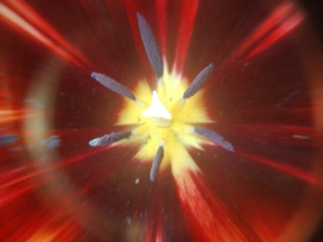 f:id:bluemoonbell:20230917180434j:image
