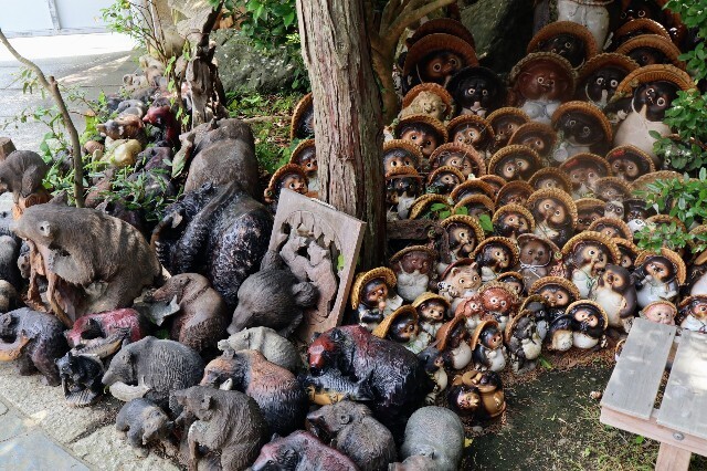 f:id:bluemoonbell:20230927134513j:image