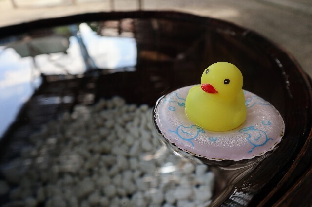 f:id:bluemoonbell:20231007115440j:image