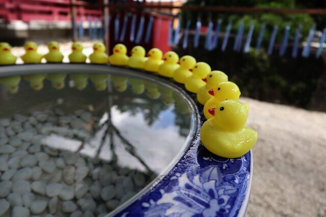 f:id:bluemoonbell:20231007115448j:image