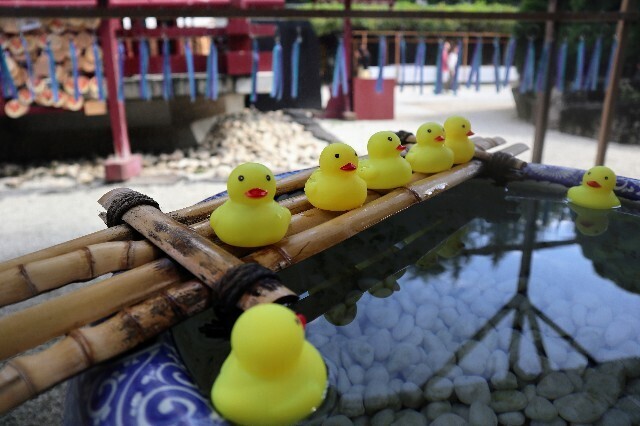 f:id:bluemoonbell:20231007115455j:image