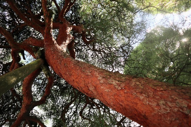 f:id:bluemoonbell:20231007115807j:image