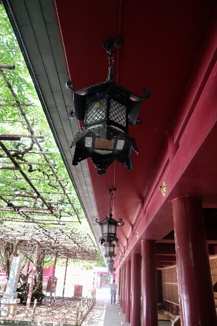 f:id:bluemoonbell:20231007115818j:image