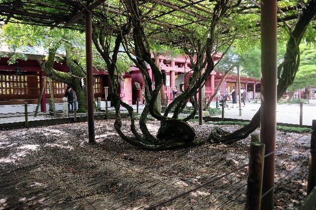 f:id:bluemoonbell:20231007115825j:image