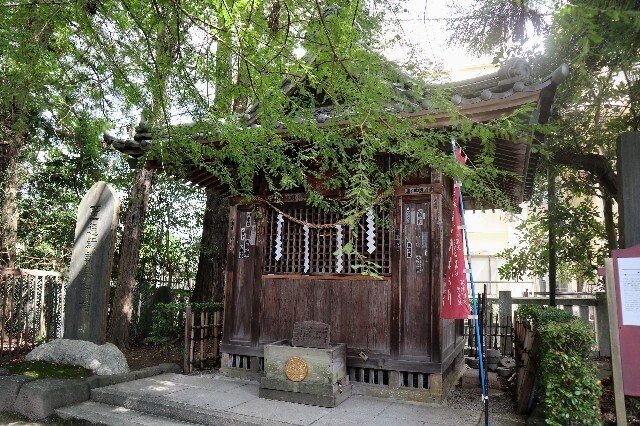 f:id:bluemoonbell:20231007115835j:image