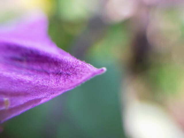 f:id:bluemoonbell:20231014095353j:image