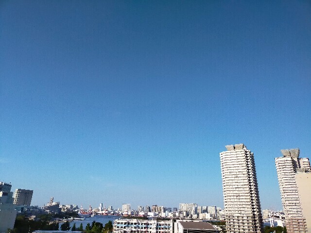 f:id:bluemoonbell:20231028172308j:image