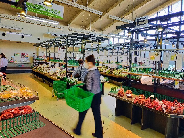 f:id:bluemoonbell:20231106200740j:image f:id:bluemoonbell:20231106200740j:image