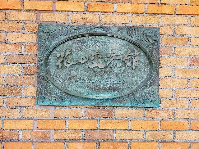 f:id:bluemoonbell:20231106201301j:image f:id:bluemoonbell:20231106201301j:image