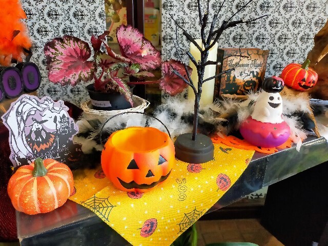 f:id:bluemoonbell:20231106201309j:image f:id:bluemoonbell:20231106201309j:image